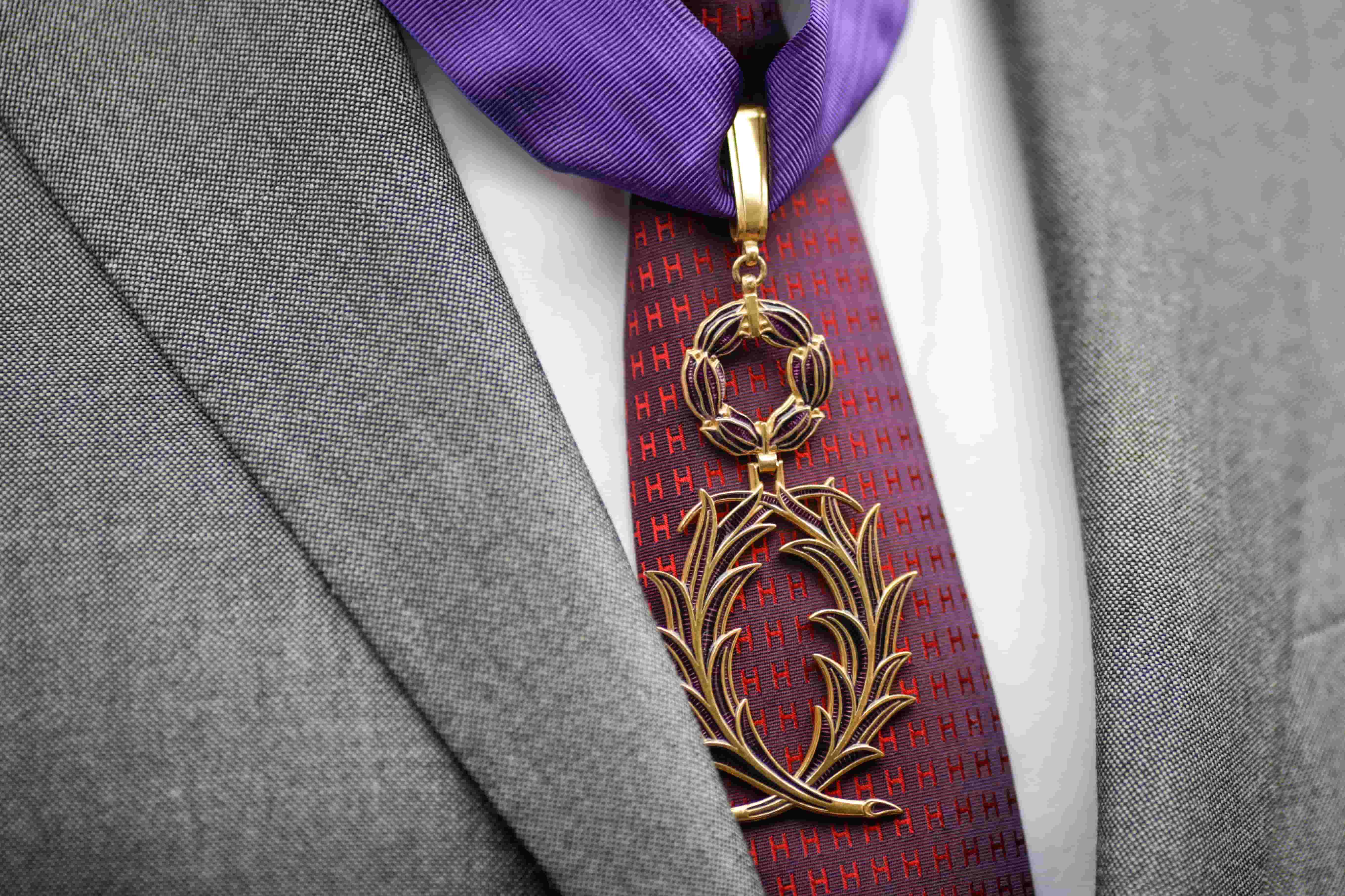 A qui est destinée la médaille des palmes académiques ?