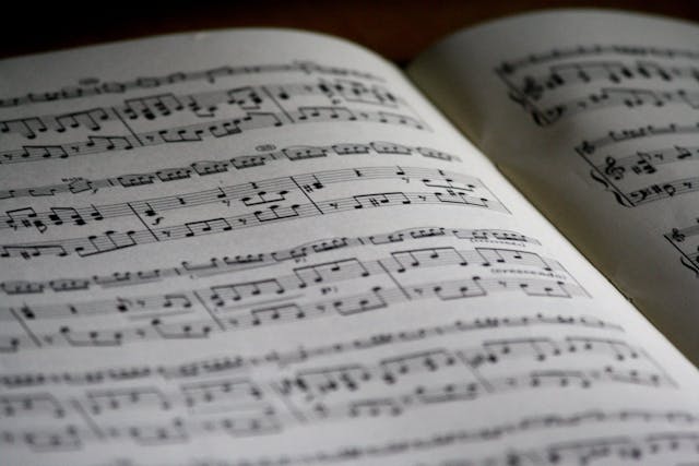 Apprenez la musique à domicile à Saint-Etienne avec Allegro Musique